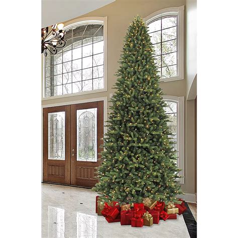 8 foot christmas tree pre lit - 3 days ago · Shop for Pre-Lit Christmas Trees in Christmas Trees by Style. Buy products such as Best Choice Products 7.5ft Pre-Lit Artificial Christmas Tree at Walmart and save. ... Gymax 6 FT Pre-Lit Christmas Tree Snow Flocked Hinged Pine Tree w/ Metal Stand. Options +2 sizes. Available in additional 2 sizes. Now $ 99 99. current price Now $99. ...